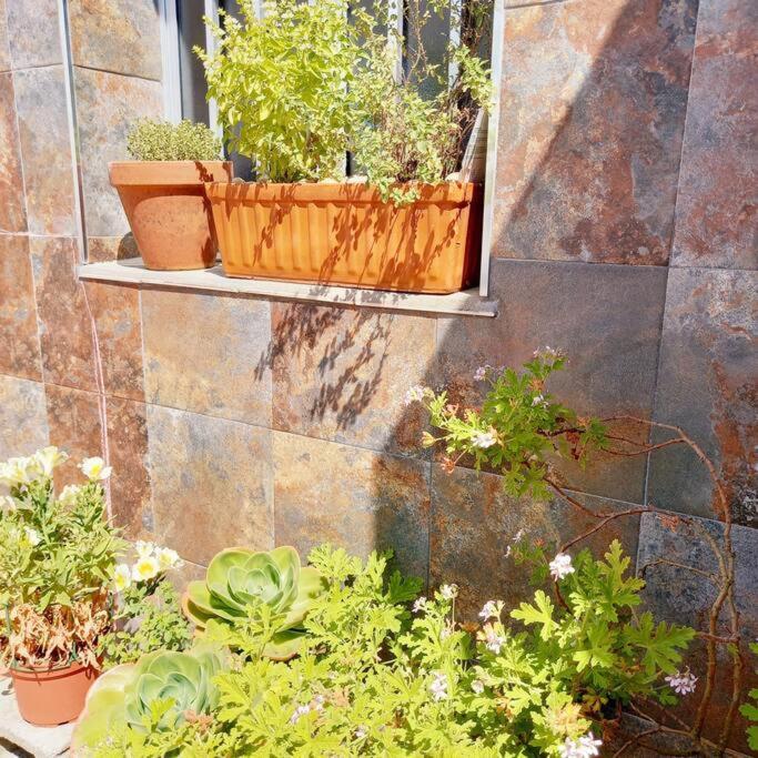 Апартаменти Rias Bajas Apartamento Con Jardin Віланова-де-Ароуса Екстер'єр фото